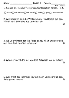 Vorschau